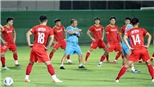 Tuyển Việt Nam có gì, chơi nấy