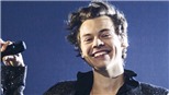 Harry Styles: Hành trình đến siêu sao toàn cầu