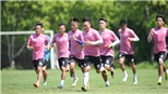 LS V-League 2020 ấn định ngày trở lại