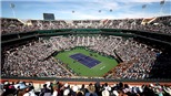ATP và WTA hoãn hàng loạt giải đấu vì dịch Covid-19: Khi sân quần đóng băng