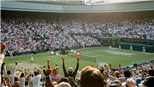Tennis: Tuần này quyết định tương lai Wimbledon 2020
