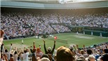  Wimbledon 2020 có bị hoãn vì đại dịch Covid-19?
