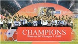 Cuối cùng, V-League 2019 về đích an toàn