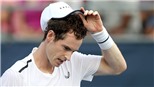 Tennis: Andy Murray trở lại là… thua