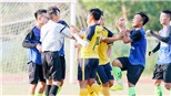 Bình luận: Trách tại con đường