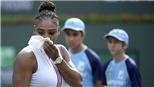 Serena Williams và thành trì lung lay