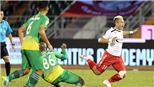 Các 'anh Hai Nam Bộ' thoái trào tại V-League