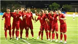 'Đội tuyển Việt Nam sẽ vô địch AFF Cup 2022'