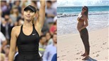 Sharapova mang thai con đầu lòng