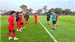 Bóng đá nữ Việt Nam: Dặm trường giấc mơ World Cup