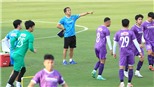 HLV Park Hang Seo cần hơn một tá trợ lý