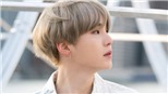 Suga BTS mở lòng nói về cái giá của danh tiếng, ‘ghen tị’ với người bình thường