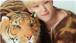 5 bài hát K-pop chào mừng năm Nhâm Dần đáng để đưa vào 'playlist'