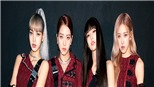Blackpink trở thành nhóm nhạc nữ sở hữu tour diễn lớn nhất trong lịch sử Kpop