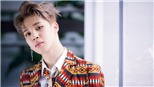 Jimin BTS nhận ‘cơn mưa’ lời khen từ các chuyên gia thanh nhạc