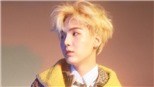 Suga BTS khiến fan bất ngờ khi thông báo trở lại với album solo 