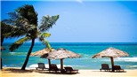 Hà Nội: Xử lý tình trạng tổ chức tour du lịch miễn phí lừa đảo khách 