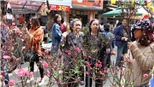 Nhộn nhịp chợ hoa Hàng Lược, một năm chỉ họp một lần duy nhất