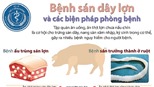 Bệnh sán dây lợn và các biện pháp phòng bệnh