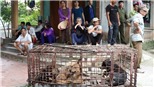 Vụ cháu bé bị chó cắn tử vong ở Hưng Yên: Giao đàn chó về cơ quan công an