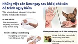 Những việc cần làm sau khi bị chó cắn để tránh nguy hiểm