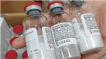 Phiên bản thuốc remdesivir chữa COVID-19 của Ấn Độ được giao bán với giá rẻ nhất​