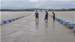Siêu bão Goni quần thảo phía Đông Philippines, ít nhất 4 người thiệt mạng