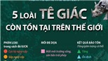 Ngày Tê giác thế giới 22/9: 5 loài tê giác còn tồn tại trên thế giới
