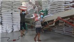 Phó Trưởng đại diện UNDP: Chung sống với Covid, Việt Nam không phải ngoại lệ