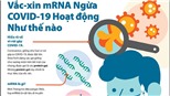 Vaccine công nghệ mRNA – Triển vọng chống lại các căn bệnh nguy hiểm