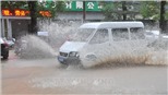 Dự báo bão Hinnamnor ảnh hưởng mạnh đến khu vực Đông Bắc Á