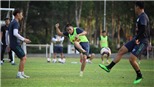 Hải Phòng mượn 3 cầu thủ HAGL cho V-League