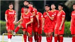 Video clip bàn thắng trận Việt Nam vs Indonesia