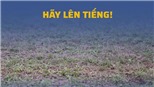 Mặt sân V-League chưa xứng với danh xưng chuyên nghiệp