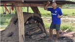 Covid-19 khiến sao trẻ Thái Lan phải đi đốt than kiếm sống