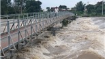 Thời tiết 2-3 ngày tới: Miền bắc tiếp tục mưa diện rộng, lũ đầu nguồn sông Cửu Long tiếp tục lên nhanh