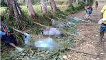 Papua New Guinea: Xảy ra thảm sát, ít nhất 18 người thiệt mạng