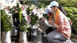 Nhật Bản: Tưởng niệm vụ tai nạn thảm khốc làm 520 hành khách thiệt mạng