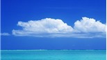 Biến đổi khí hậu: Nước biển dâng đe dọa nhấn chìm khoảng 80 sân bay trên thế giới vào năm 2100
