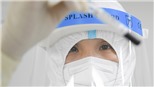 Phát triển vaccine phòng bệnh COVID-19 từ cây thuốc lá