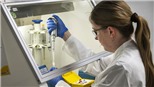 Dịch COVID-19: Đức thúc đẩy nghiên cứu vaccine chống virus SARS-CoV-2