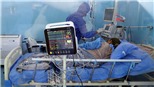 Ai có thể miễn nhiễm với virus SARS-CoV-2?
