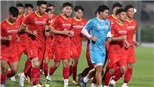 Lịch thi đấu vòng loại World Cup 2022 khu vực châu Á: Việt Nam vs Indonesia, UAE vs Thái Lan
