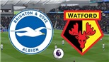 Soi kèo nhà cái Brighton vs Watford. K+, K+PM trực tiếp bóng đá Ngoại hạng Anh (23h30, 21/08)