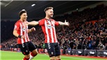 Soi kèo nhà cái Southampton vs Brighton. Nhận định, dự đoán bóng đá Anh (22h00, 04/12)