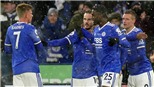Soi kèo nhà cái Leicester vs Newcastle. Nhận định, dự đoán bóng đá Ngoại hạng Anh (21h00, 12/12)