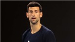 Novak Djokovic chính thức thua kiện, đối mặt với việc bị trục xuất