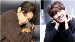 BTS: V tung ảnh tình cảm với cún cưng Bam, đến J-Hope cũng phải 'tan chảy'