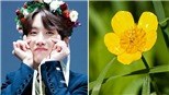 Tháng sinh của BTS thuộc bông hoa tượng trưng nào?