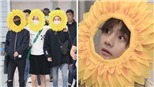 Nam thần hoa hướng dương BTS hóa ra là một hình phạt